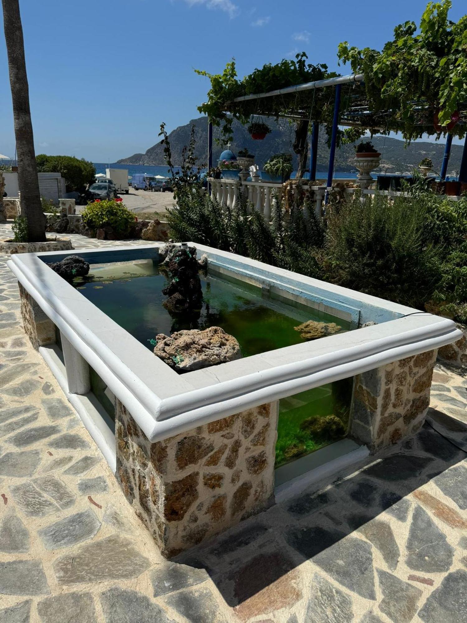 Savvas Studios Kefalos  Exterior photo